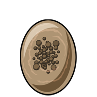 Egg